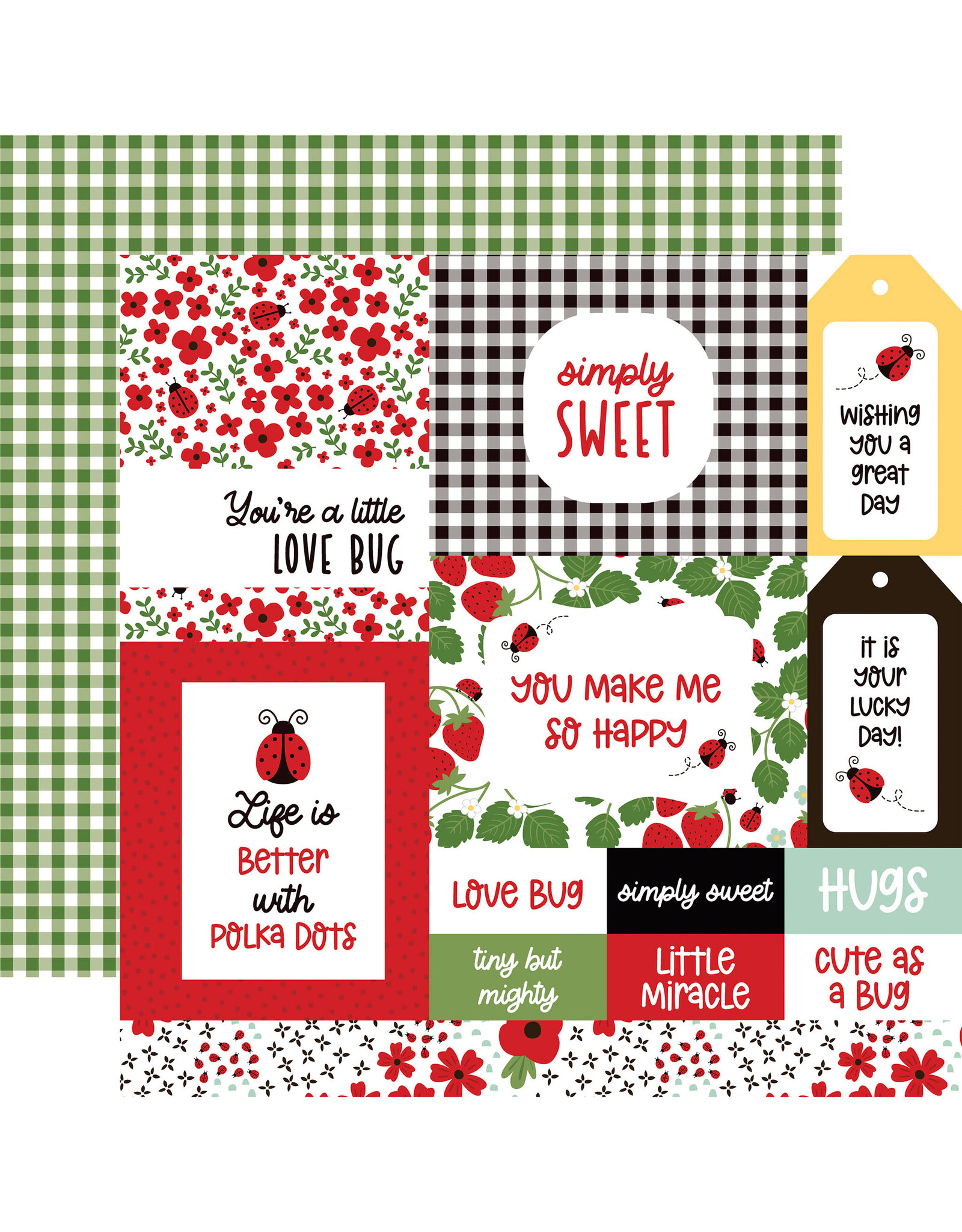 Echo Park Little Ladybug Multi Journaling Cards 12x12 Patterned Paper