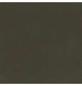 Bazzill Bazzill Card Shoppe 8.5x11- Candy Bar Cardstock