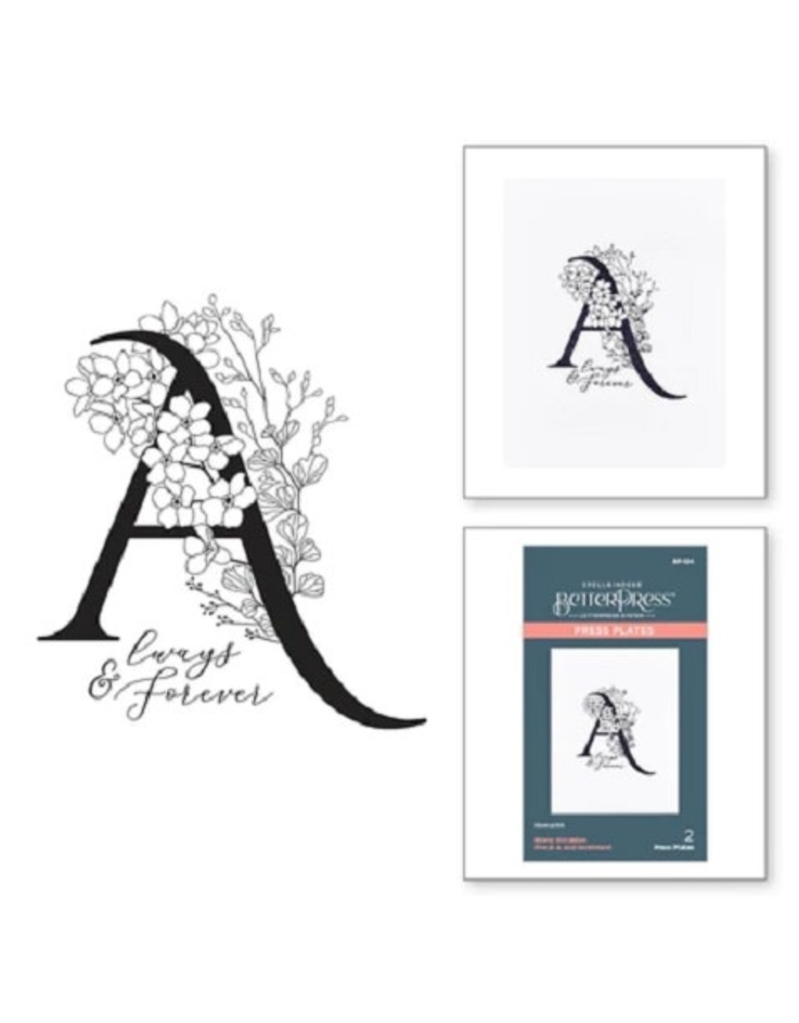 Spellbinders Everyday Occasion Floral Alphabet Collection - Floral A and Sentiment Press Plate