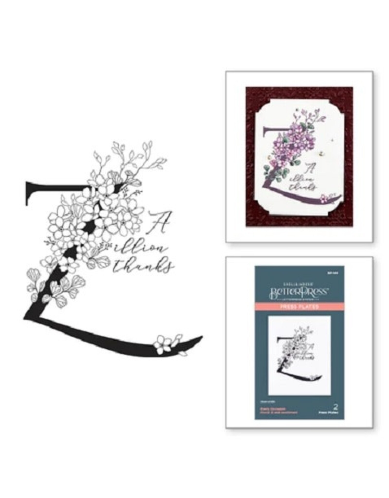 Spellbinders Everyday Occasion Floral Alphabet Collection - Floral Z and Sentiment Press Plate