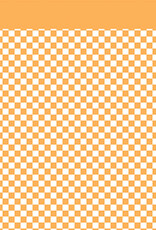 Echo Park Checkerboard:  Carrot 12x12 Patterned Paper