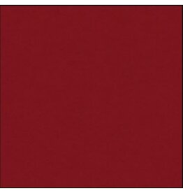 My Colors 12x12 Carnival Red - Classic
