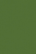 My Colors 12x12 Desert Cactus - Canvas