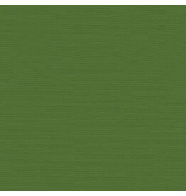 My Colors 12x12 Desert Cactus - Canvas   *DISC*