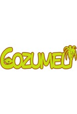 Cozumel banner