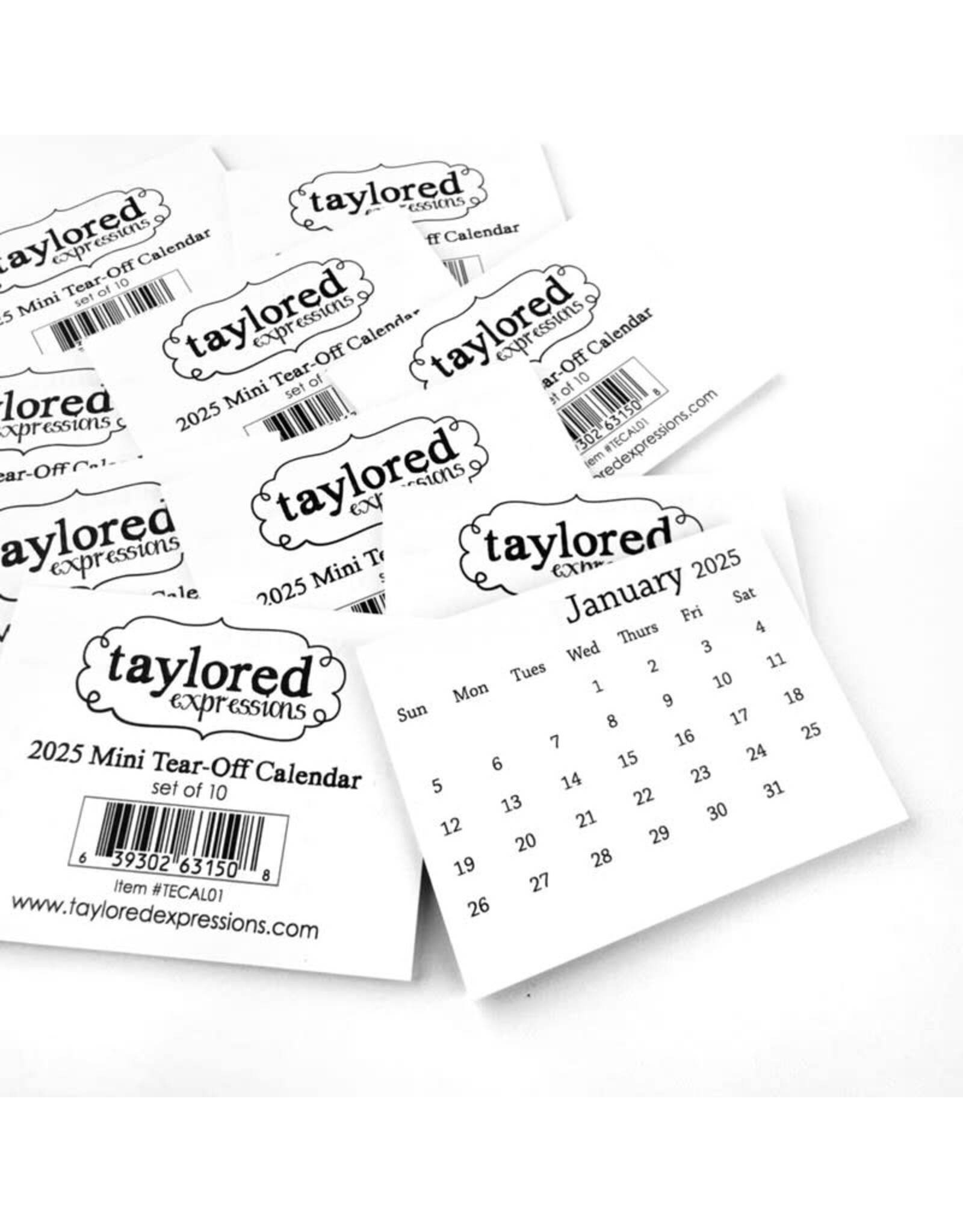Taylored Expressions 2025 Mini Tear Off Calendars (set of 10)