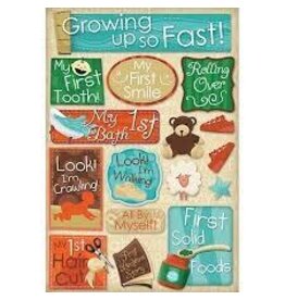 Karen Foster Growing up stickers