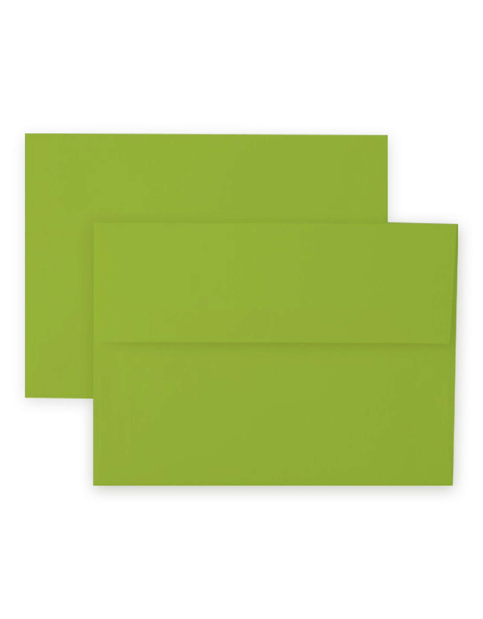 ALTENEW Craft Essentials- A2 Envelopes 12 pcs- Parrot