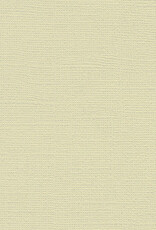 My Colors 12x12 - Muslin - Canvas *DISC*