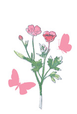 Sizzix Sizzix Framelits Die & A5 Stamp Set By 49 & Market - floral