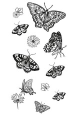 Sizzix Nature Butterflies by Lisa Jones - Stamps