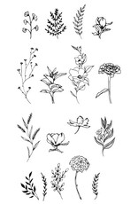 Sizzix Sizzix Clear Stamps Set 17 pcs Garden Botanicals by Lisa Jones