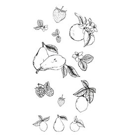 Sizzix Botanical Fruit by Lisa Jones - Stamps