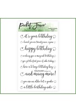 PICKET FENCE STUDIOS Swanky Sentiments: Birthday Stamp Set 4x6