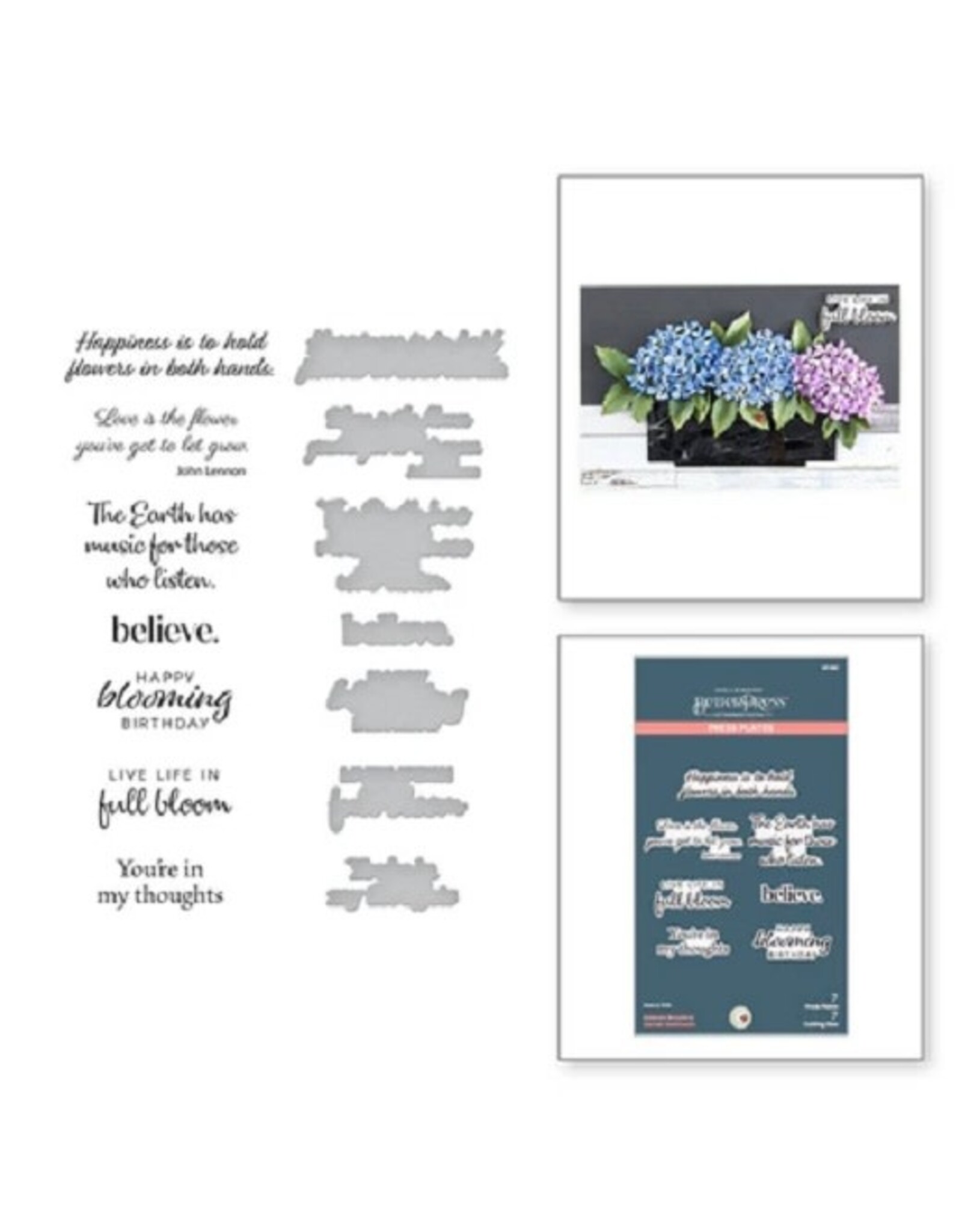 Spellbinders Nature's Botanical Garden Collection - Nature's Botanical Garden Sentiments Press Plate & Die Set