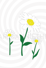Stamp Anniething Daisies Builder Die