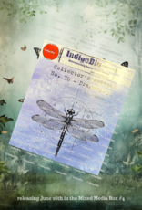 IndigoBlu Mixed Media Box #4 - Secret Garden