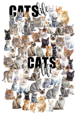 Uniquely Creative Willow & Grace - Creative Cuts - Cats