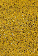 WOW! WOW! Cake by Ashlee McGregor