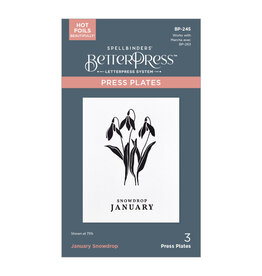 Spellbinders Florals Through the Year- January Snowdrop