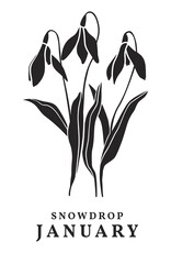 Spellbinders Florals Through the Year- January Snowdrop