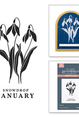 Spellbinders Florals Through the Year- January Snowdrop