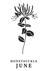 Spellbinders Florals Through the Year- June Honeysuckle