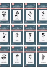 Spellbinders Florals Though the Year Better Press Plate Bundle