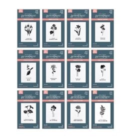 Spellbinders Florals Though the Year Better Press Plate Bundle