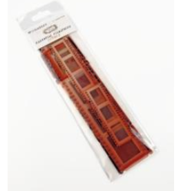 49 AND MARKET Essential Filmstrips - Citrus