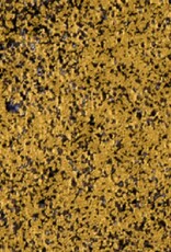 WOW! WOW! Weathered Gold by Seth Apter