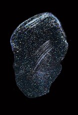 Tim Holtz - Ranger Distress - Texture Paste - Twinkle