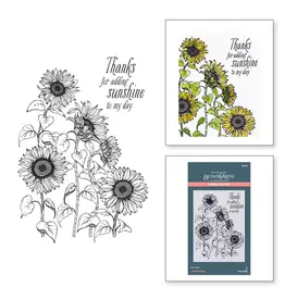 Spellbinders Serenade of Autumn Collection - Sunflower Field Press  *