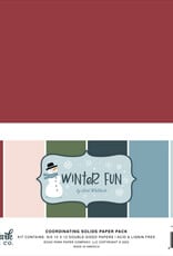 Echo Park Winter Fun - 12x12 Solids