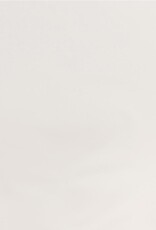 American Crafts 12x12 Vellum