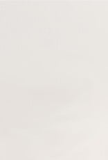 AMERICAN CRAFTS Vellum - 12x12