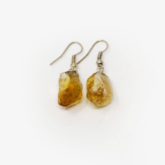 Citrine Point Earrings