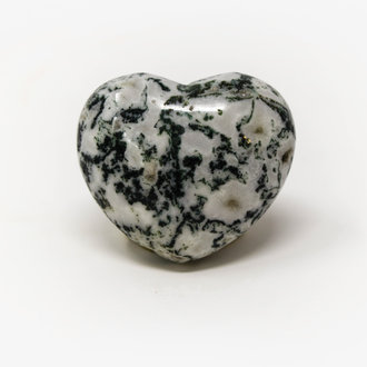 Tree Agate Heart - Medium