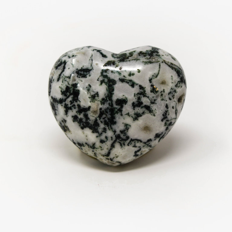 Tree Agate Heart - Medium