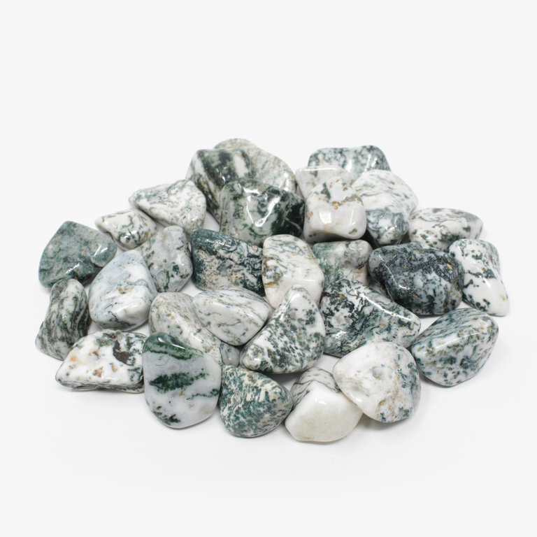 Tree Agate Tumbled