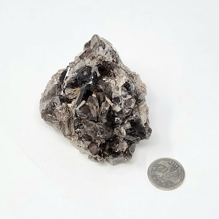 Smoky Quartz Cluster - Online Only