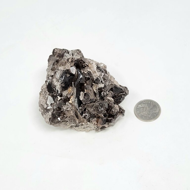 Smoky Quartz Cluster - Online Only