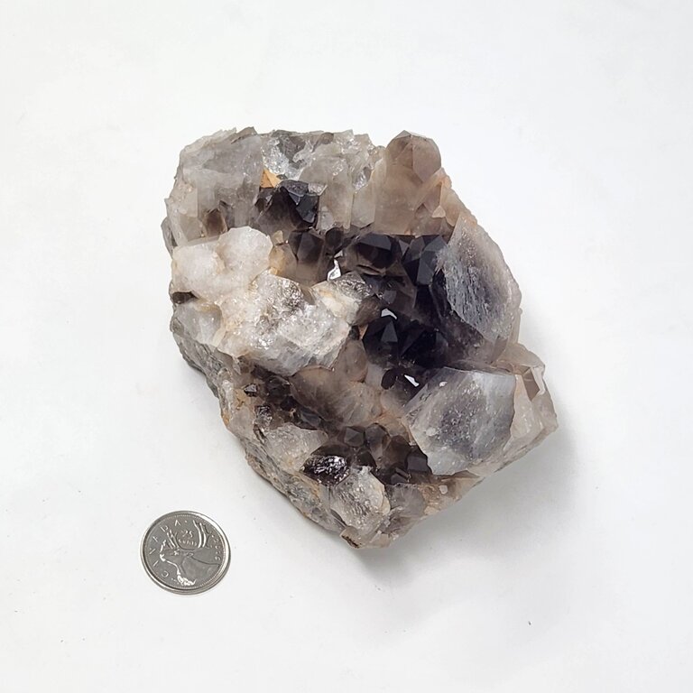 Smoky Quartz Cluster - Online Only