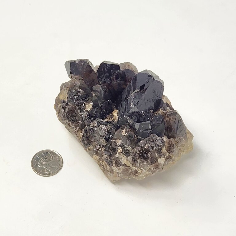 Smoky Quartz Cluster - Online Only