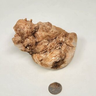 Zeolite Cluster - Online Only