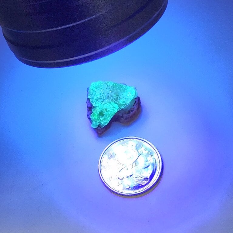 Hyalite Opal - Online Only