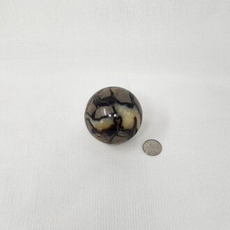 Septarian Nodule Sphere