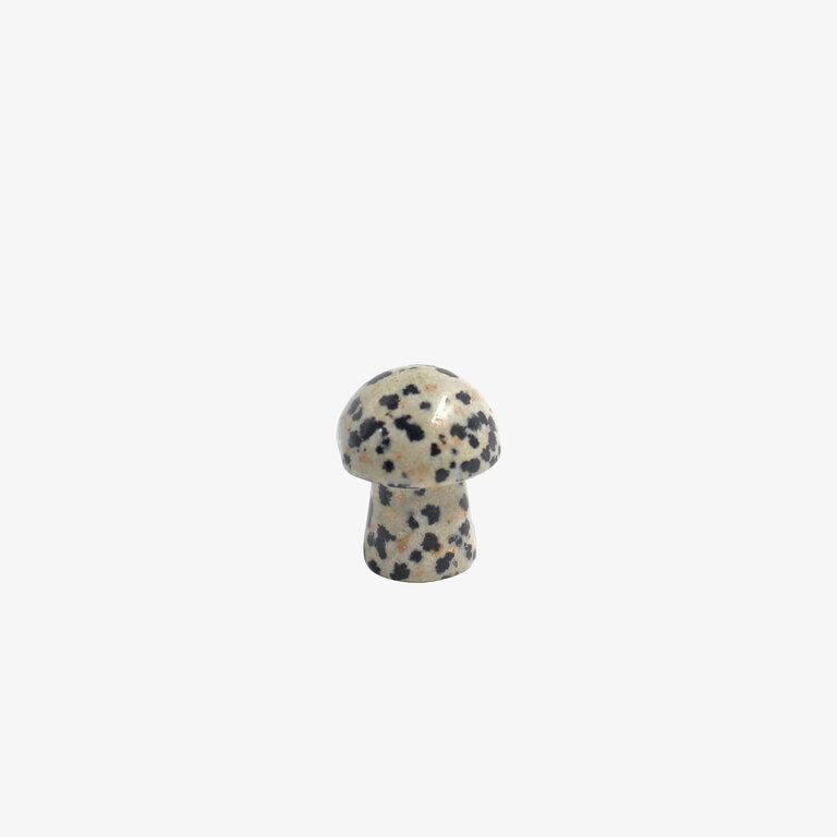 Dalmation Jasper Mini Mushroom