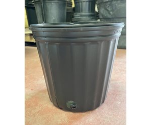 https://cdn.shoplightspeed.com/shops/639611/files/33674459/300x250x2/black-plastic-nursery-pot-10-3-gallon.jpg