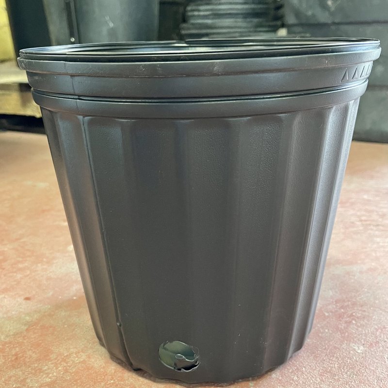 BLACK PLASTIC NURSERY POT 10" 3 GALLON